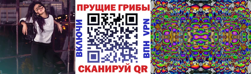 Галлюциногенные грибы прущие грибы  Верхоянск 